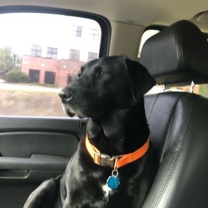 Meet your Posher, Brianbrian